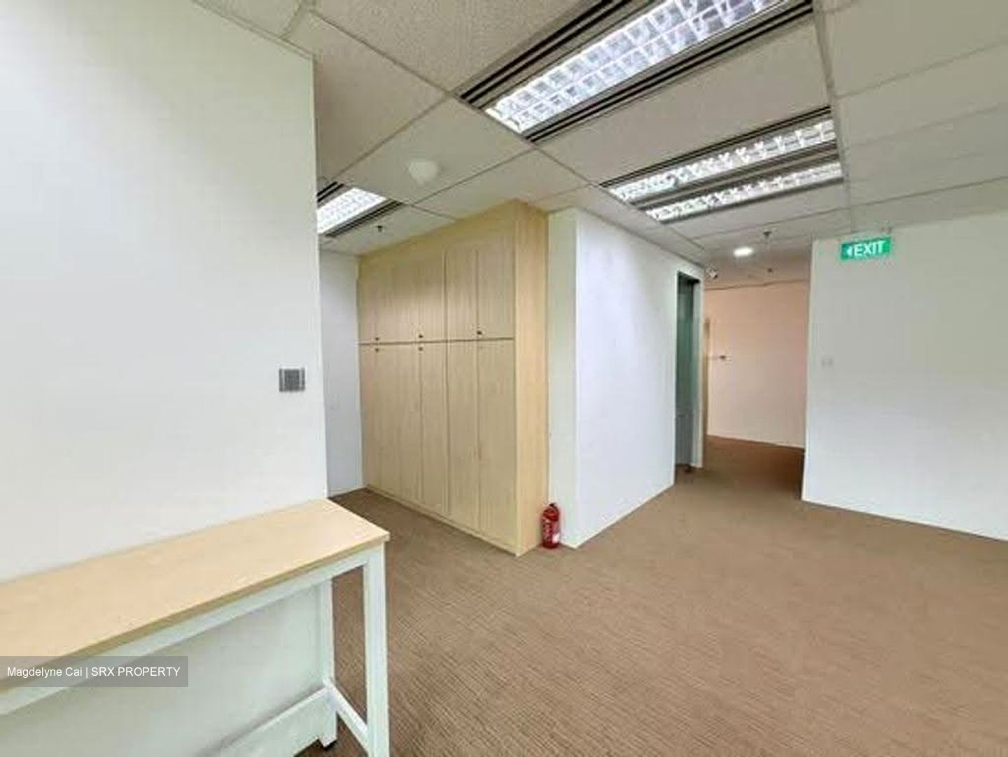 Tan Eng Kiam Building (D1), Office #639832621